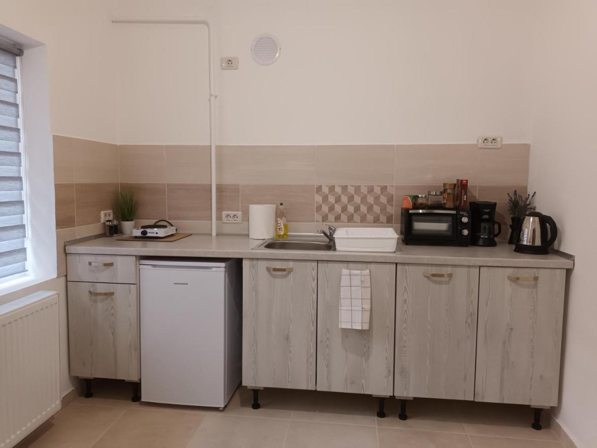 Апартаменти 3 Josepartment Тімішоара Екстер'єр фото