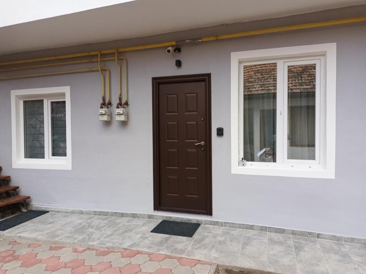Апартаменти 3 Josepartment Тімішоара Екстер'єр фото